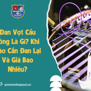 8 Mẫu Vợt Cầu Lông 200k-300k Phù Hợp Học Sinh, Sinh Viên Nhất [Cập Nhật 2026]